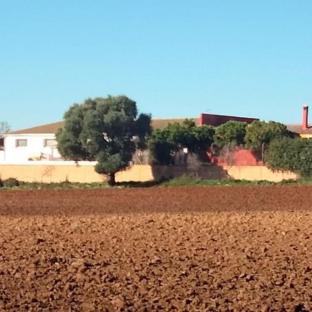 Studio Andalou , Campagne , Chevaux , Piscine Commune Apartman Arcos de la Frontera Kültér fotó