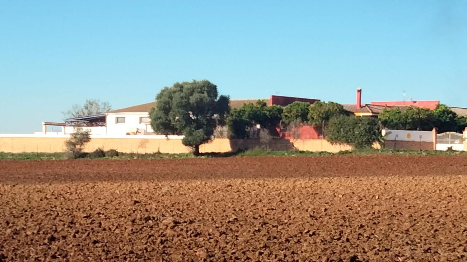 Studio Andalou , Campagne , Chevaux , Piscine Commune Apartman Arcos de la Frontera Kültér fotó